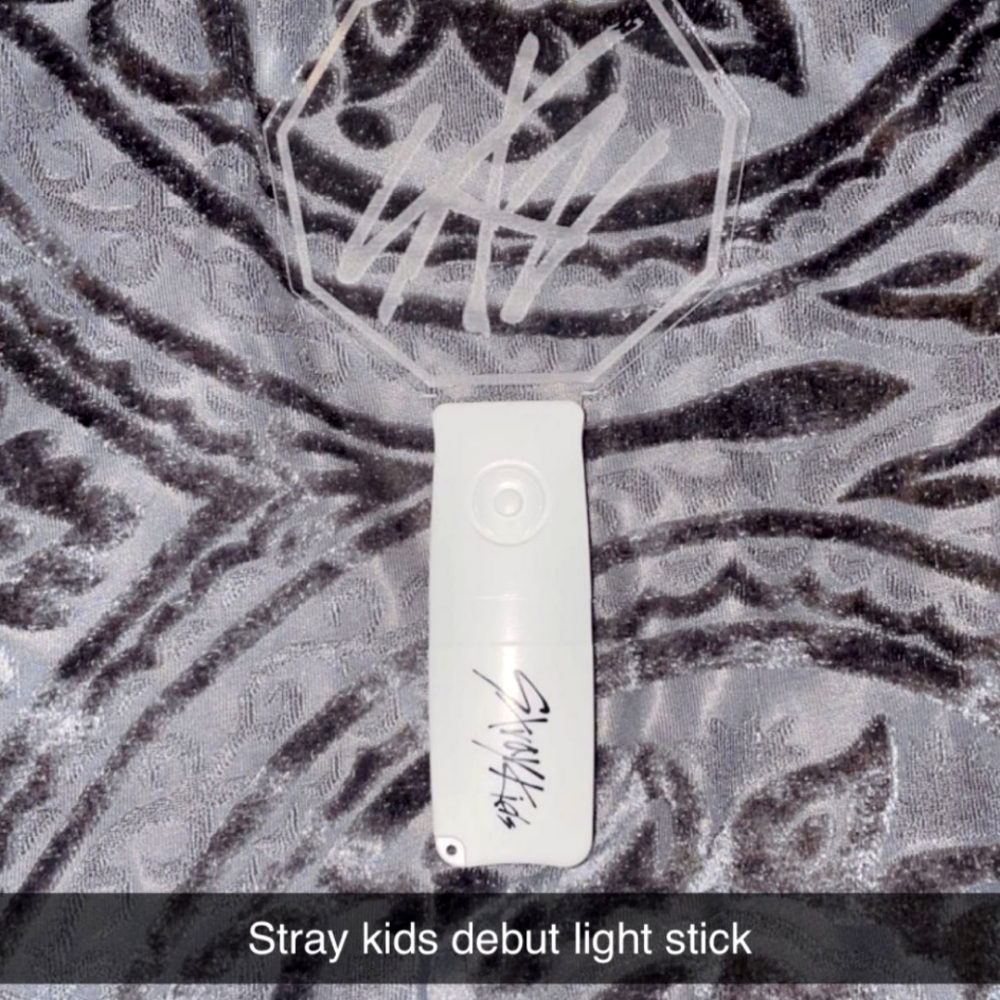 Stray Kids pre-debut lightstick